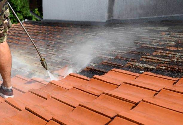 Best Roof Power Washing Services  in Weston, NJ